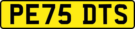 PE75DTS
