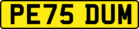 PE75DUM