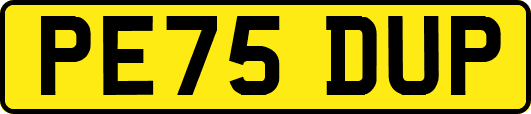 PE75DUP