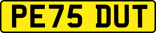 PE75DUT