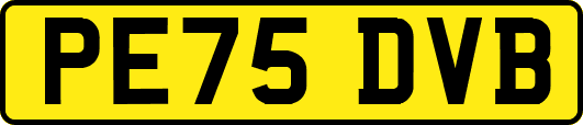 PE75DVB