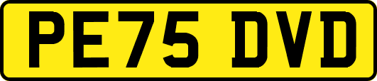 PE75DVD
