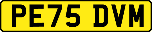 PE75DVM