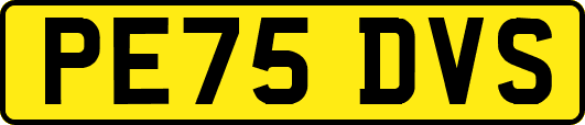 PE75DVS