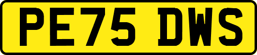 PE75DWS