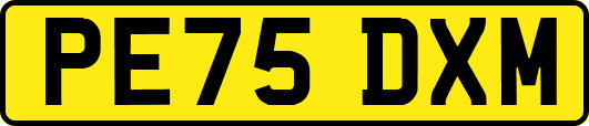PE75DXM