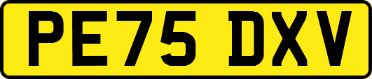 PE75DXV