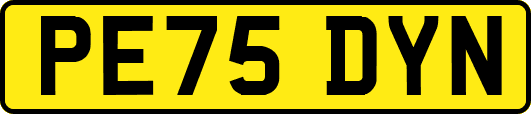 PE75DYN