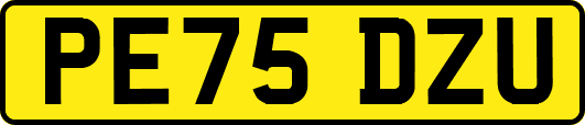PE75DZU