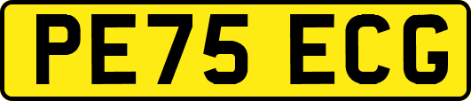 PE75ECG