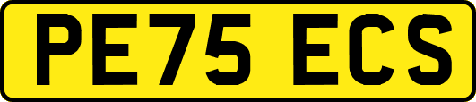 PE75ECS