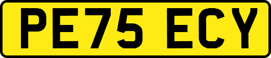 PE75ECY