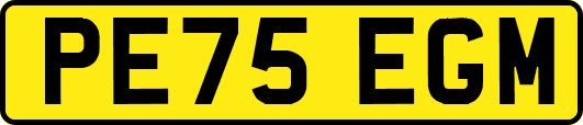 PE75EGM