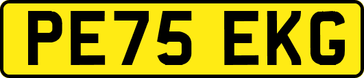 PE75EKG