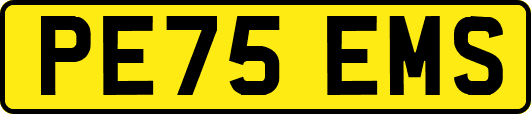 PE75EMS