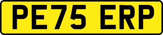PE75ERP