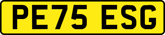 PE75ESG