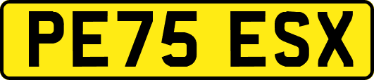 PE75ESX