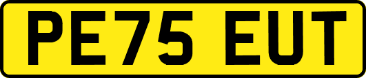 PE75EUT