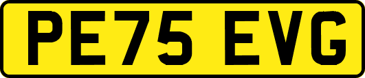 PE75EVG