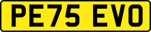 PE75EVO
