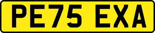 PE75EXA