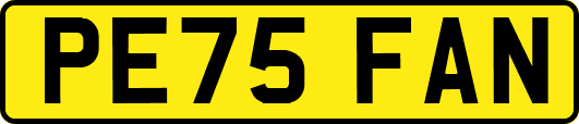 PE75FAN