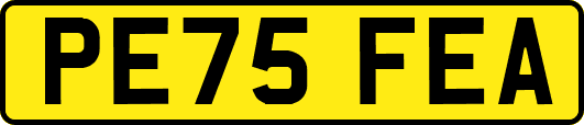 PE75FEA