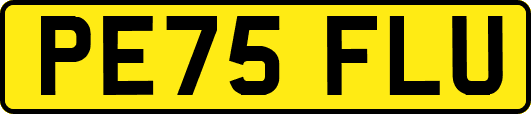 PE75FLU