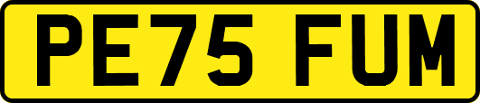 PE75FUM