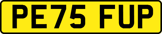 PE75FUP