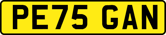 PE75GAN