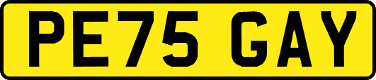 PE75GAY