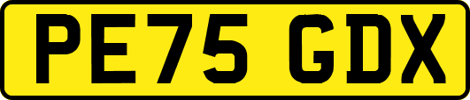PE75GDX