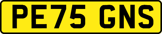 PE75GNS