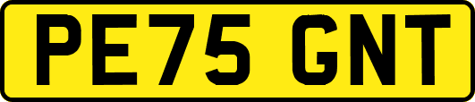 PE75GNT