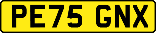 PE75GNX