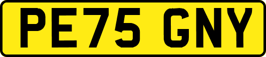 PE75GNY