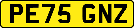 PE75GNZ