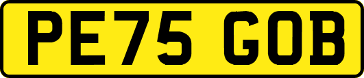 PE75GOB