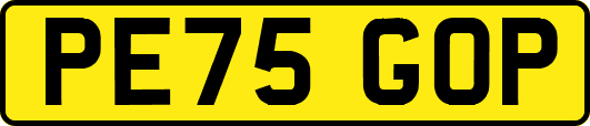PE75GOP