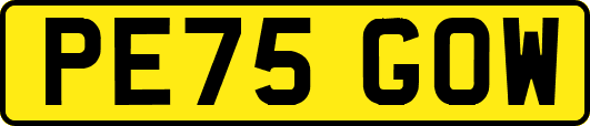 PE75GOW