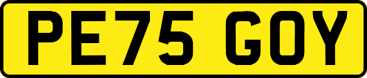 PE75GOY