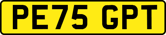 PE75GPT