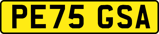 PE75GSA