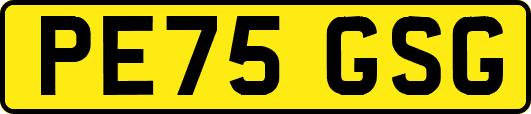 PE75GSG