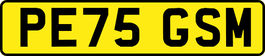 PE75GSM