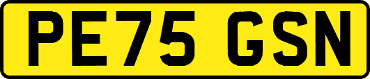 PE75GSN