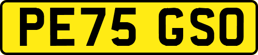 PE75GSO