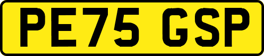 PE75GSP